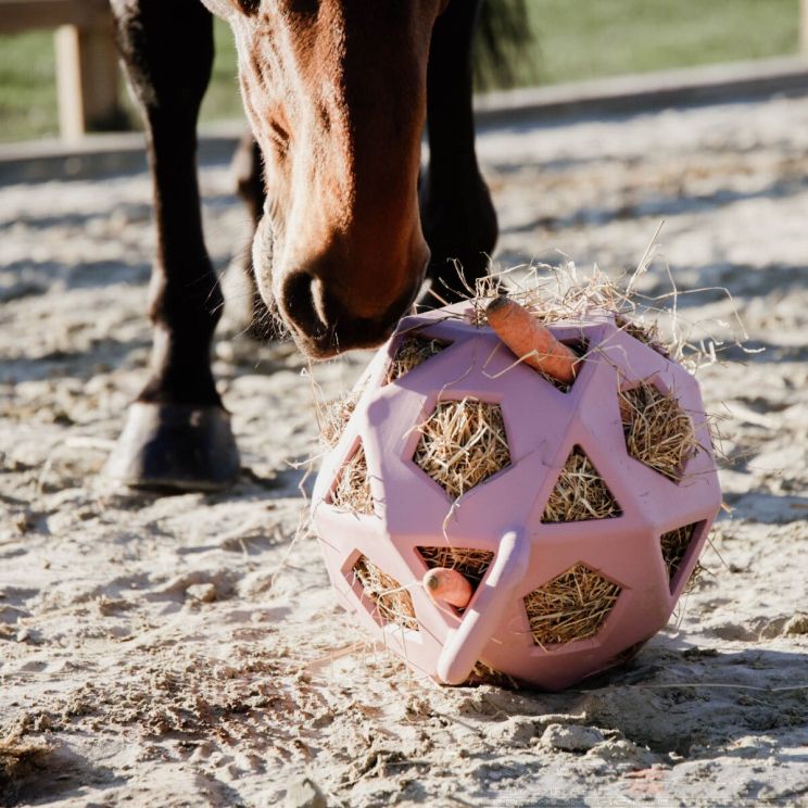 Kentucky Relax Horse Play & Hay Ball Rose Paddock 