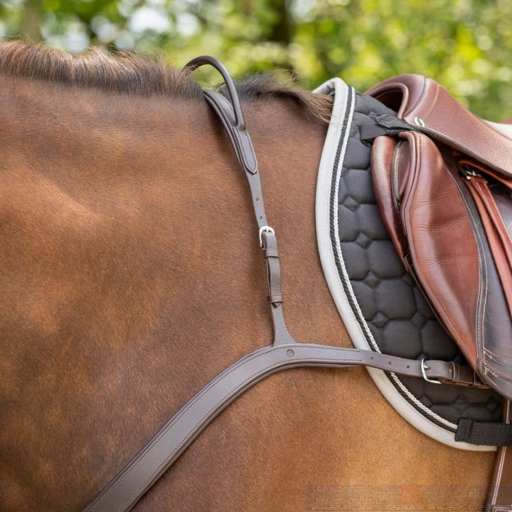 QHP Breastplate With Handle
