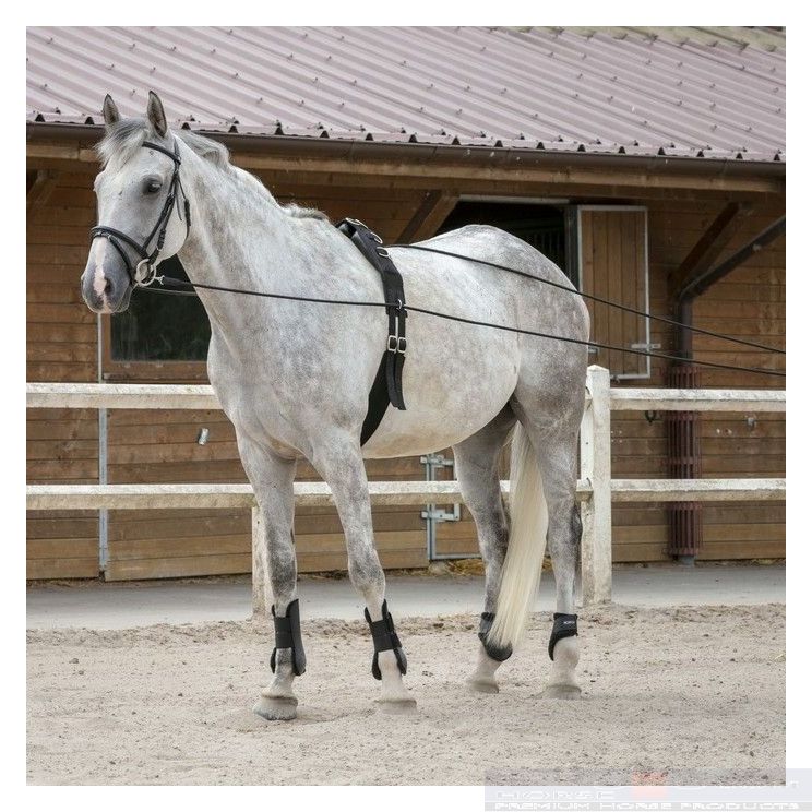 Riding World Long Reins