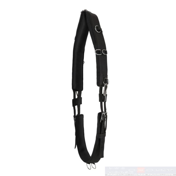 QHP Lunging Girth Padded