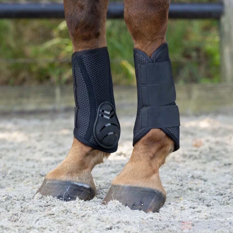 QHP Leg protection Air Mesh Horse