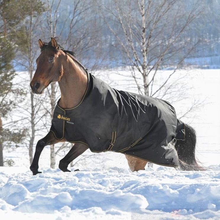 Bucas Irish Turnout High Neck 50 gr Black / Gold 