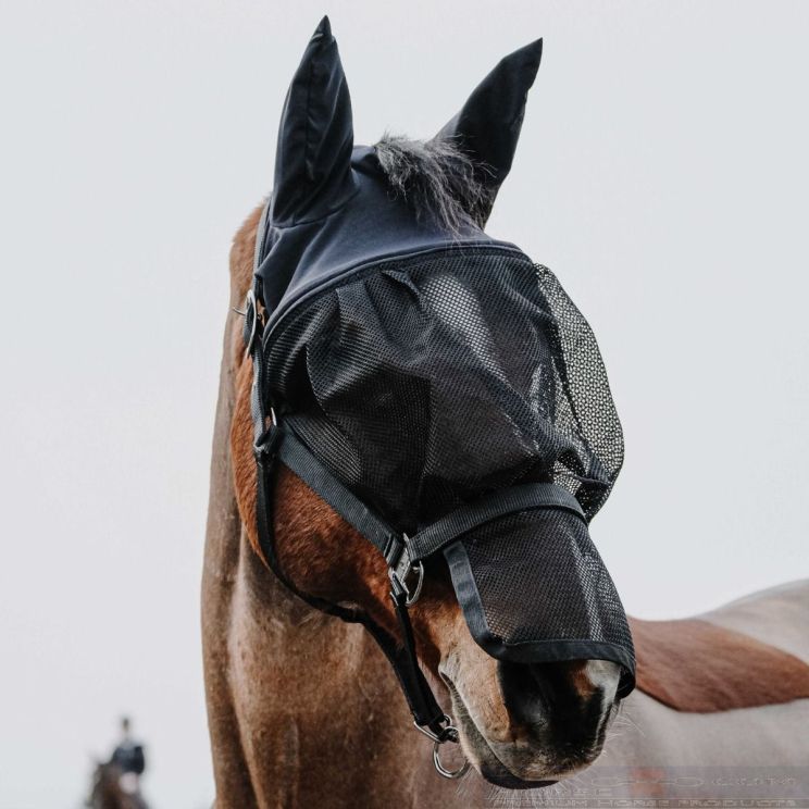 Equithème Halter + Mask