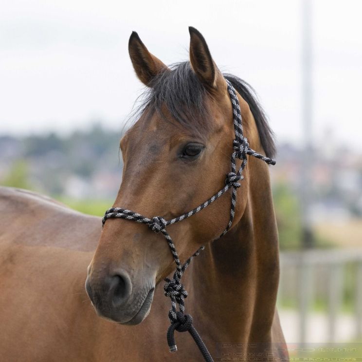 Riding World Headcollar Fine Ethological With Lead Rope Black