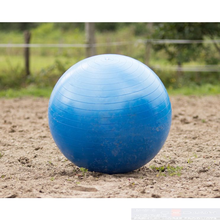 QHP Paardenvoetbal