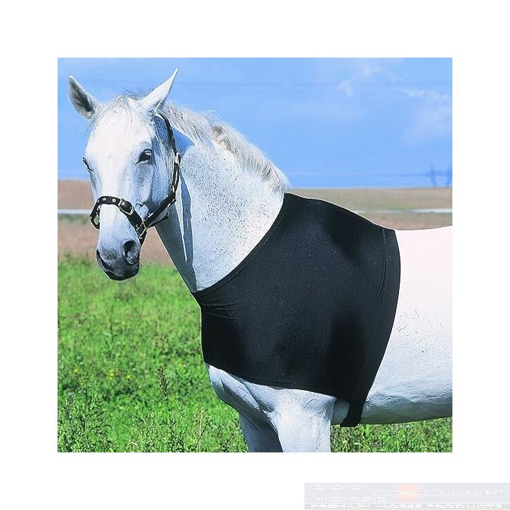 Ekkia Shoulder Guard Black