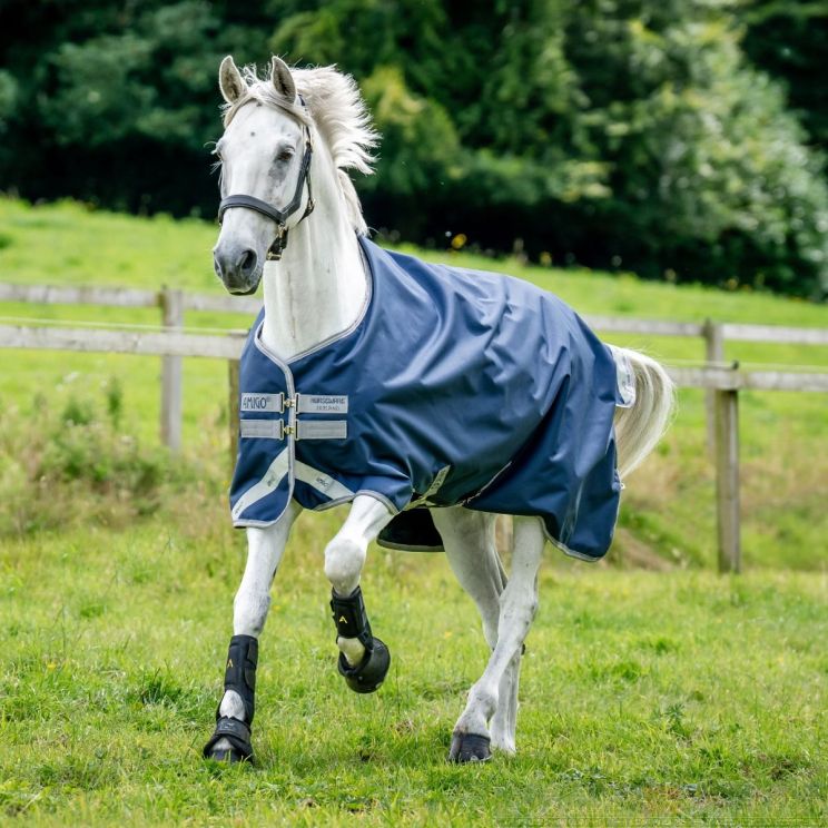 Amigo Bravo 12 Medium Navy