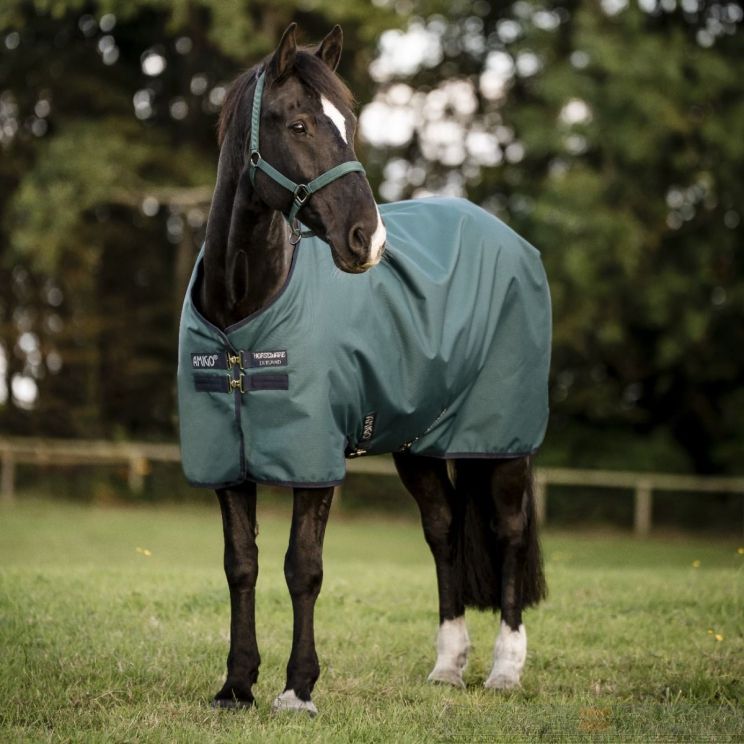 Amigo Hero 900 D Lite Ripstop 200 gr Dynasty Green