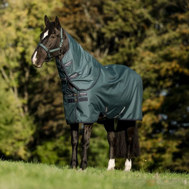 Amigo Hero 900 D Plus Ripstop 100 gr Dynasty Green