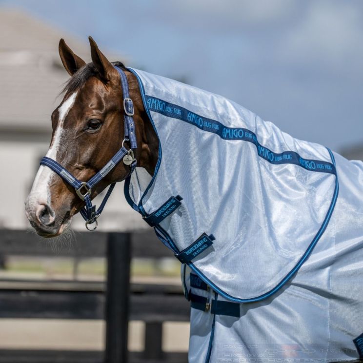 Amigo Hood Bug Rug Azure