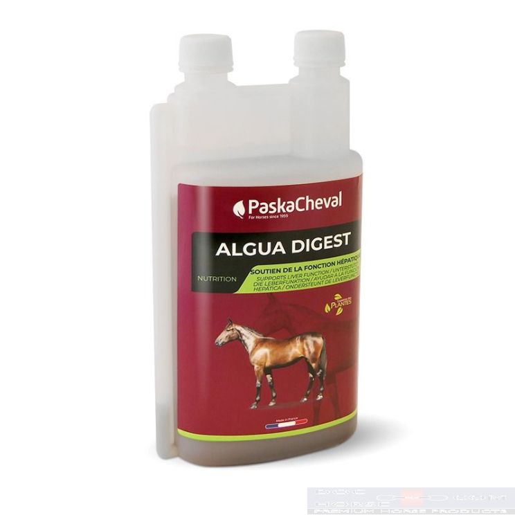 PaskaCheval Algua Digest