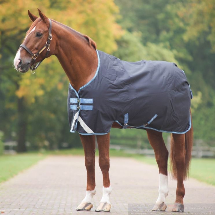 Amigo Bravo 12 100 grams regendeken