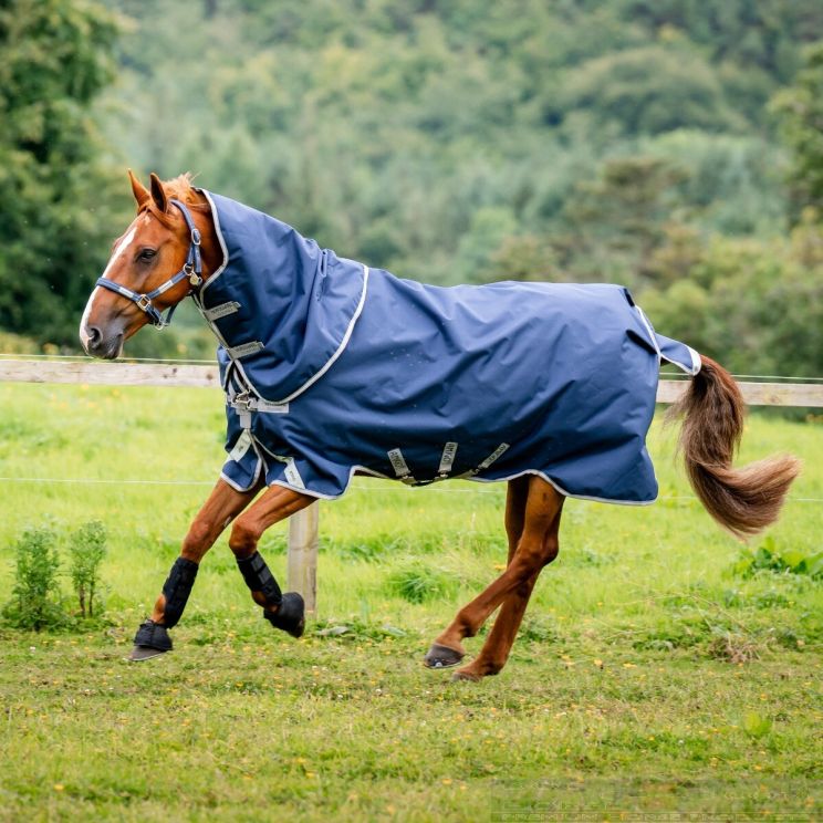 Amigo Bravo Plus Navy