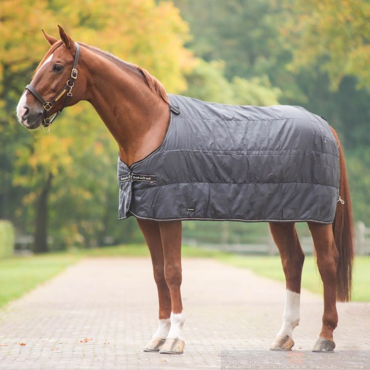 Back On Track Liner 200 g