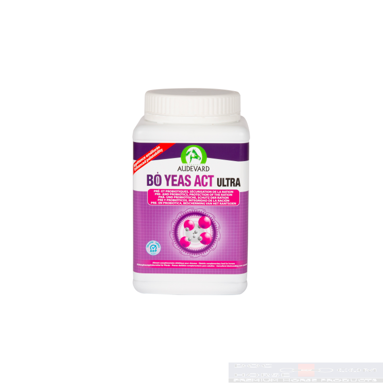 Audevard Bo Yeas Act Ultra