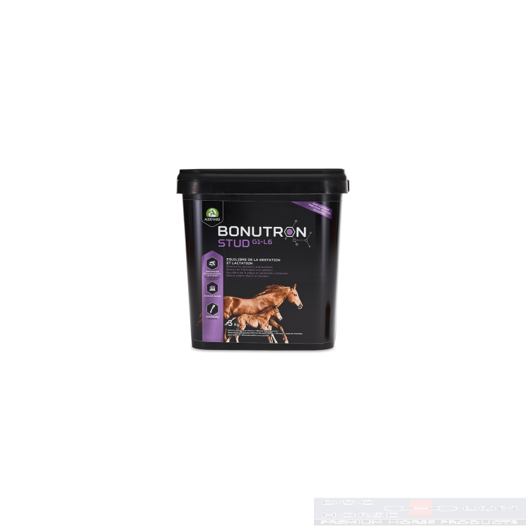 Audevard Bonutron Stud G1-L6