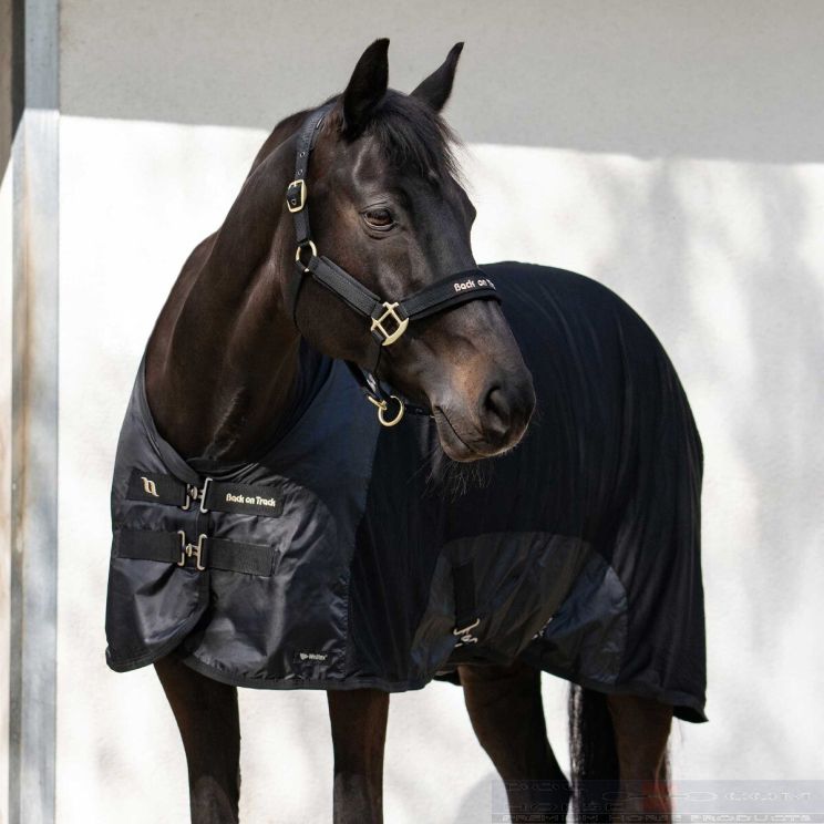 Back on Track Royal Mesh Rug Deluxe