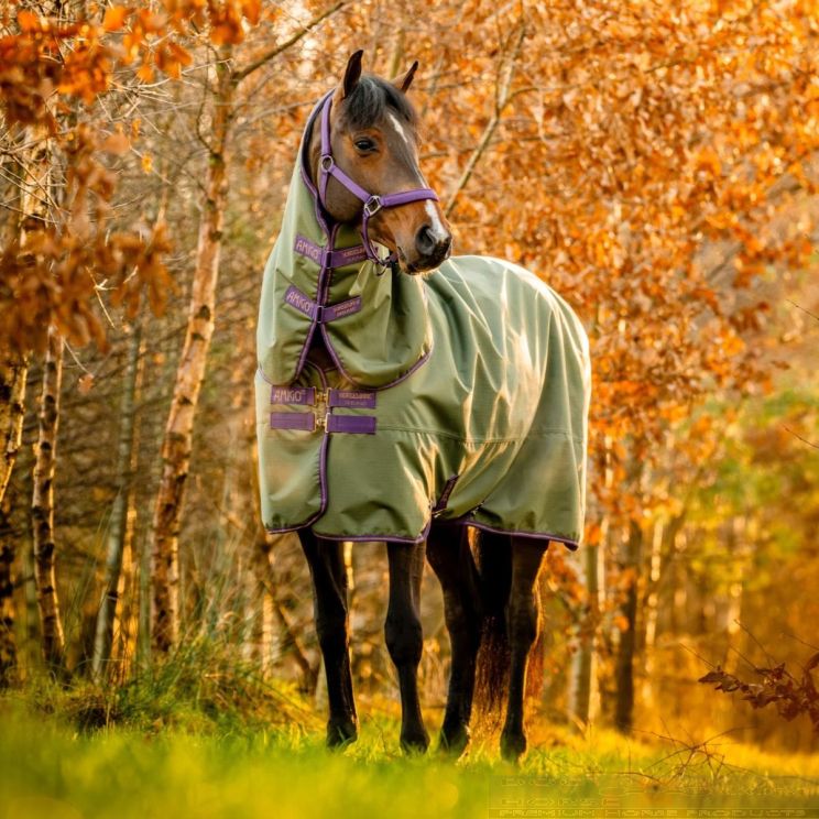 Amigo Hero Ripstop Plus 100 gr Bramble Winterberry