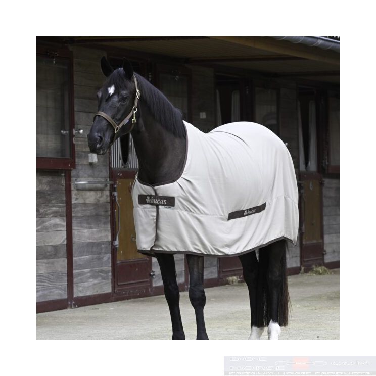 Bucas Cool Sheet Linen Beige Front