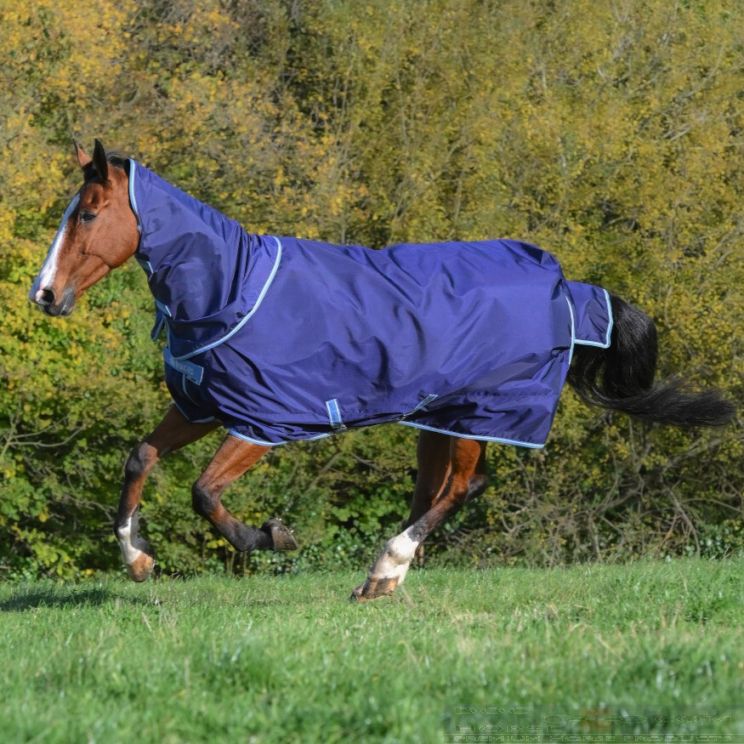 Atlantic Exclusive 150 & Neck