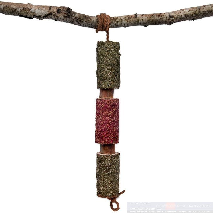 Candy Horse Wooden Toy Immuno