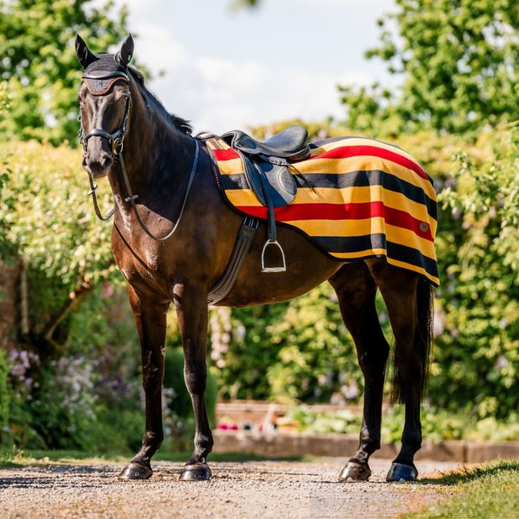 Horseware Newmarket Exercise Sheet Geel