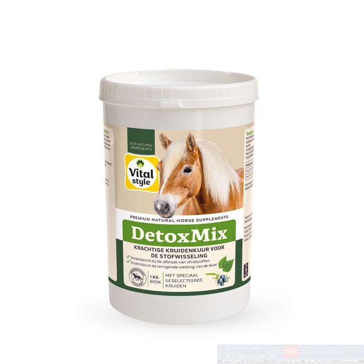 VITALstyle Detoxmix 