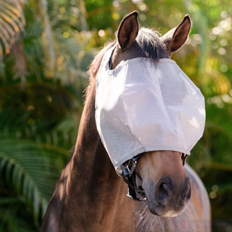 Amigo Fly Mask No Ears