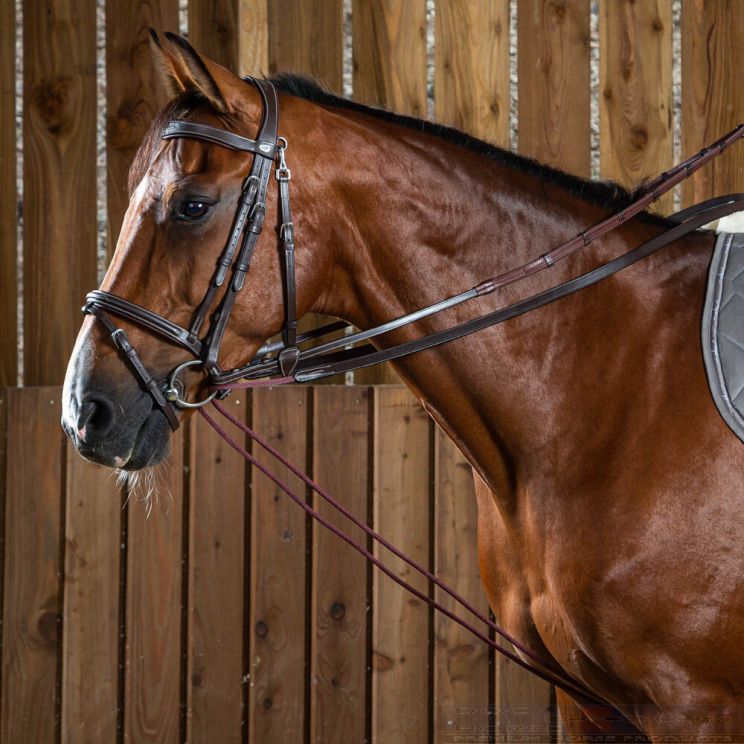 Dyon Slofteugel Koord