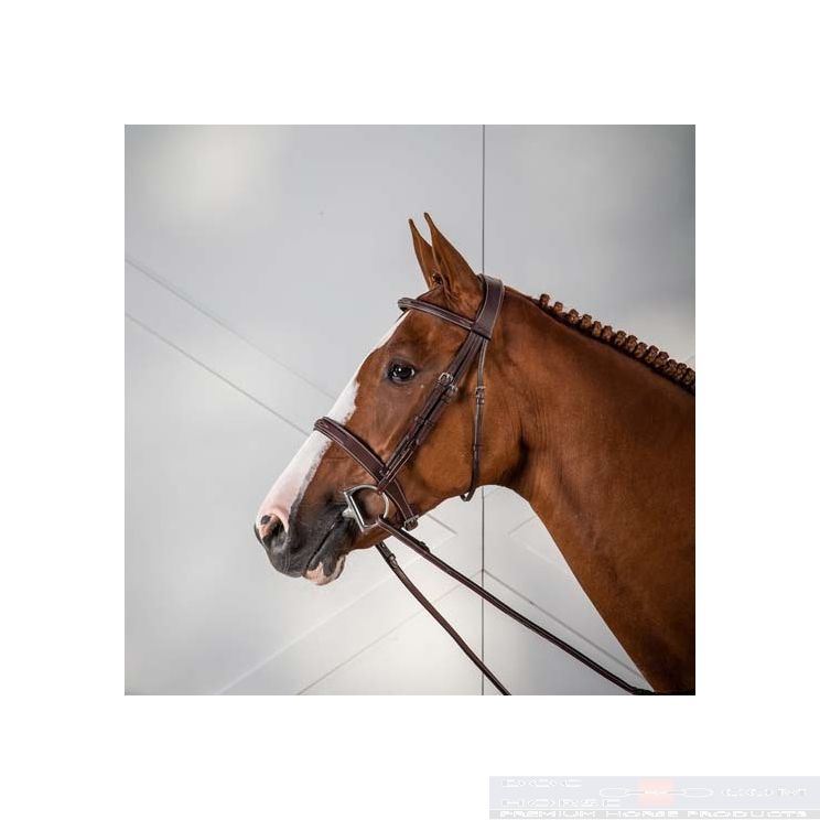 dyon hunter hoofdstel