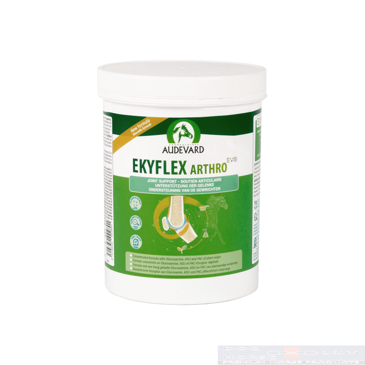 Audevard Ekyflex Arthro EVO