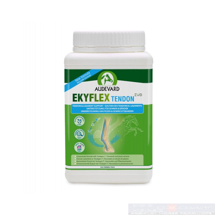 audevard ekyflex tendon evo