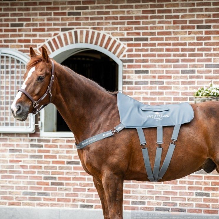 Equilibrium Massage Pad