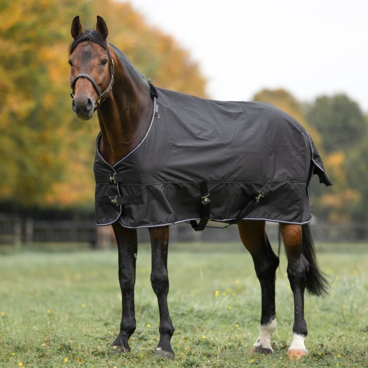 Equitheme Turnout rug 600D 300G Tyrex Black