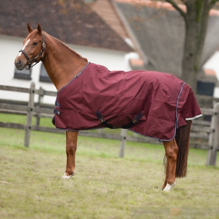 Equithème Turnout Rug 1200D Tyrex 450 G