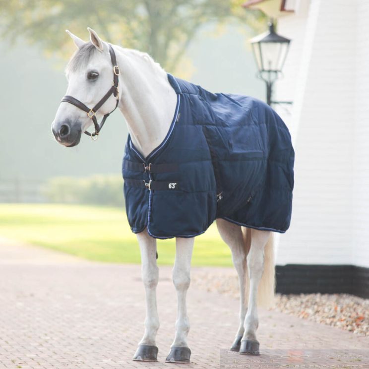 Equitheme stable rug