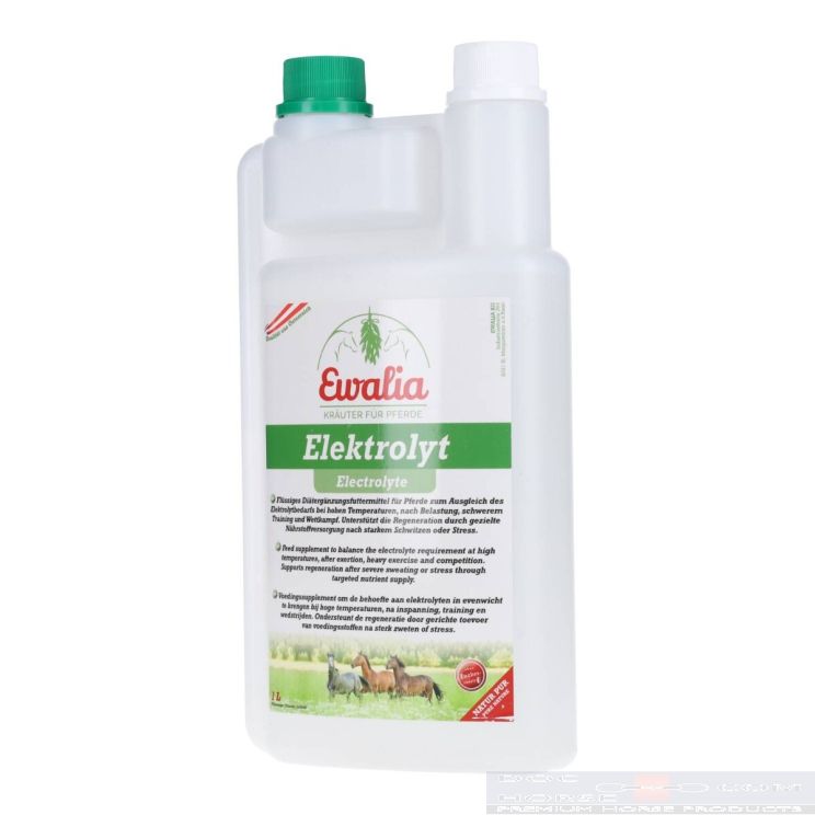 Ewalia Electrolyte 1000ml