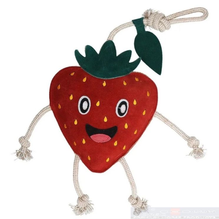 Excellent Horse Foodie Friends Strawberry