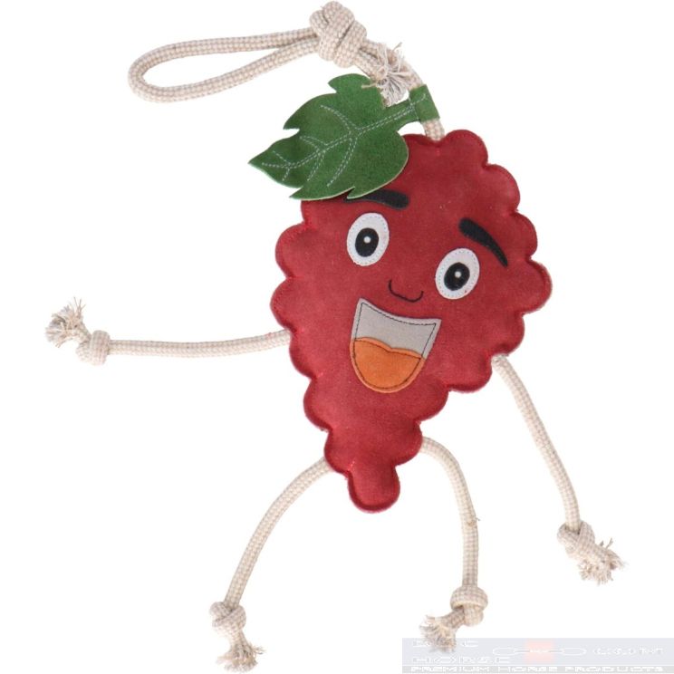 Excellent Horse Foodie Friends Raspberry