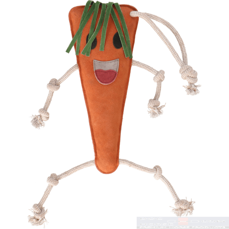 Excellent Horse Foodie Friends Carrot