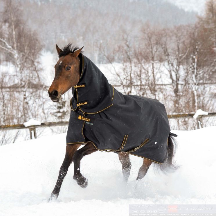 Bucas Irish Turnout Light + Neck Black