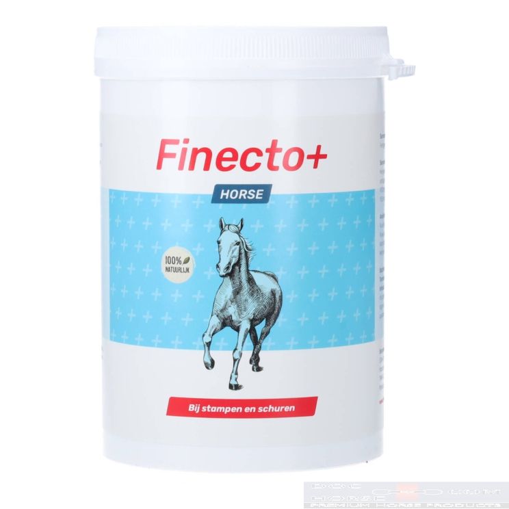 Finecto Horse