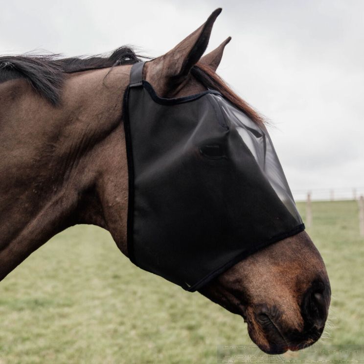 Kentucky fly mask without ears 
