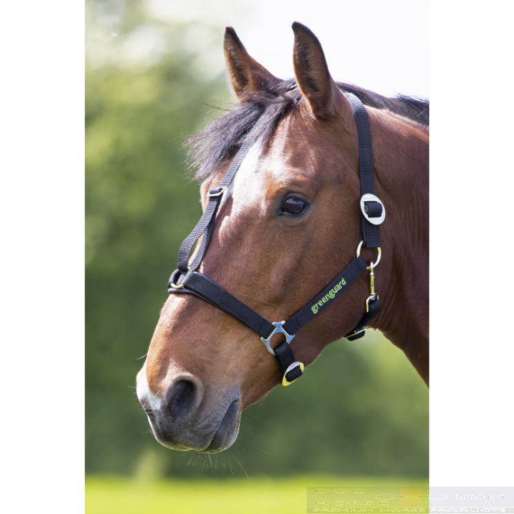 Shires Greenguard Halster