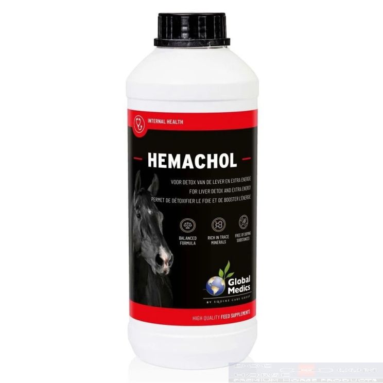 Global Medics Hemachol