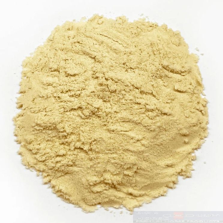 HorseFlex Protein Power Navul