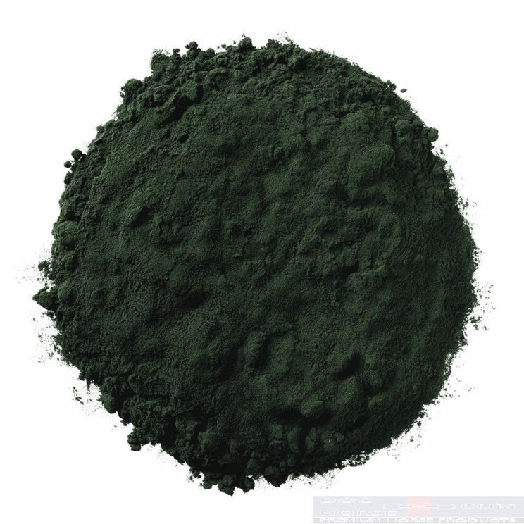 HorseFlex Spirulina Navul