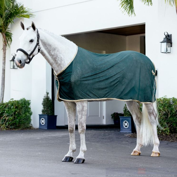 Lemieux Scrim Rug Green