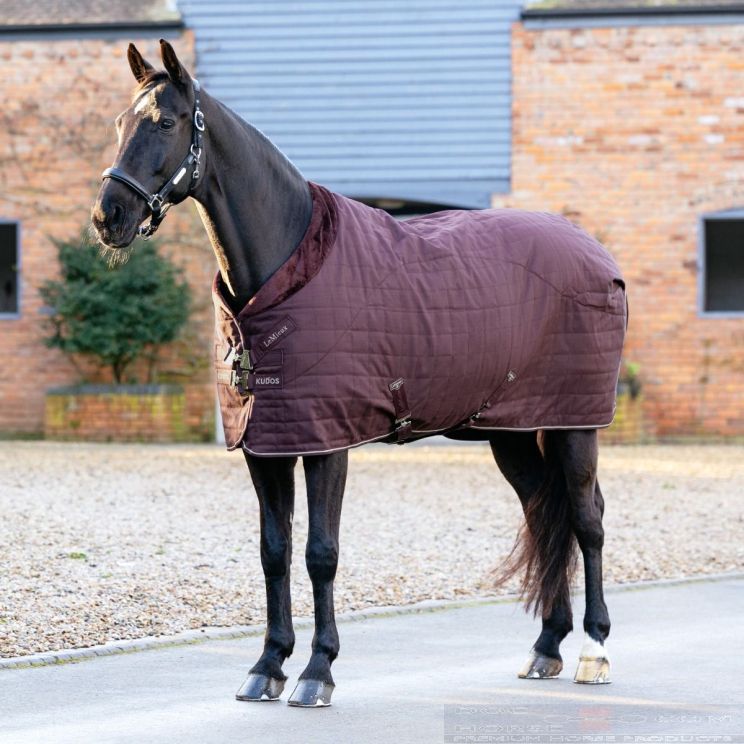 Lemieux Stable Rug Kudos Luxe Lined Damson