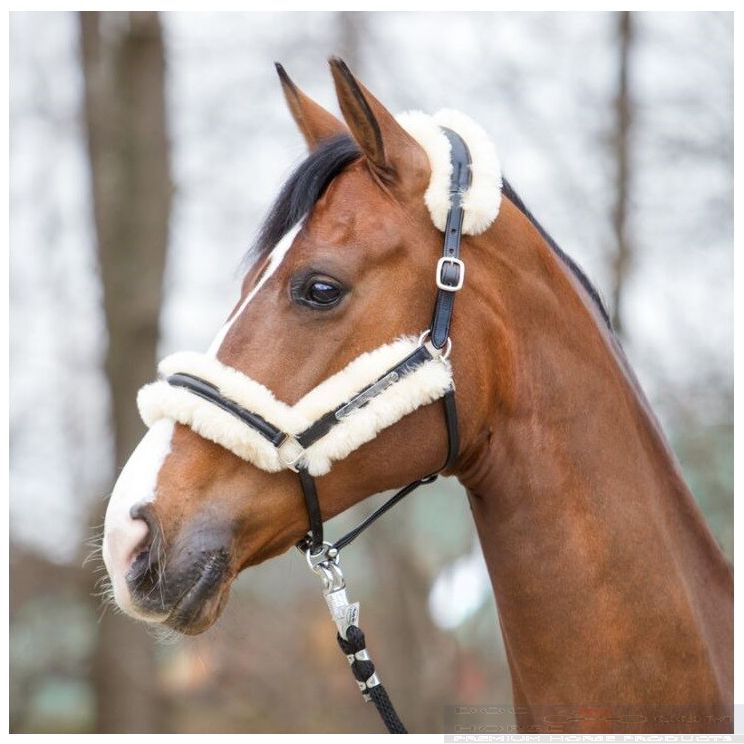 Kavalkade Lederen Halster
